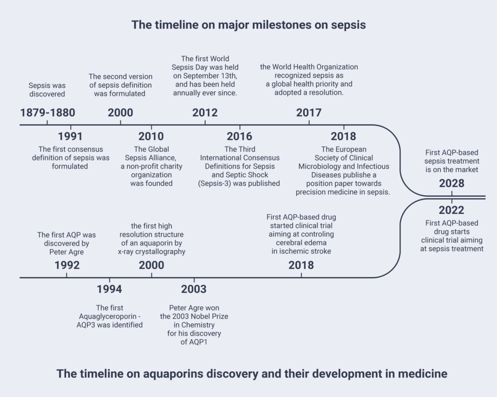 Development timelines